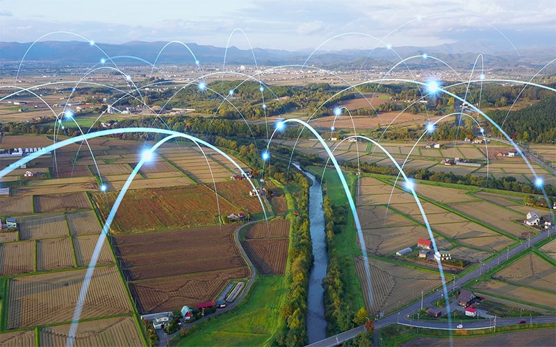 Abstract connected food concept with data lines overlay on farm