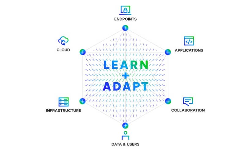 Learn and Adapt info graphic 
